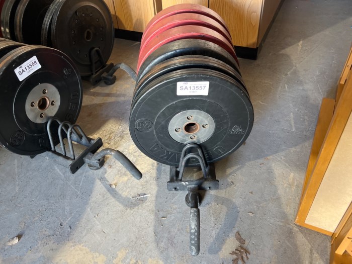 Assorted Plates w/ Horizontal Floor Rack for sale