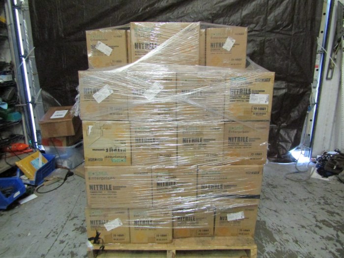 Bosma Enterprises Nitrile Examination Exam Gloves PowderFree Small Case of 1000 for sale