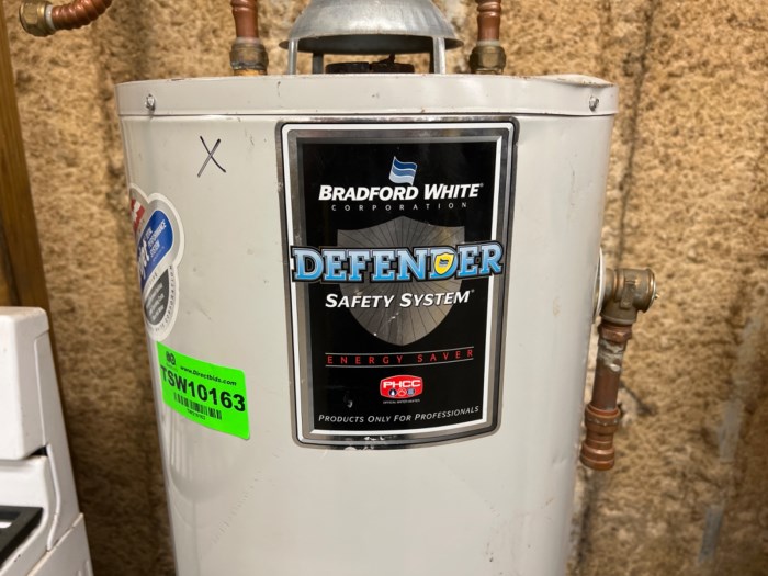 Bradford White Corp. Model MI30T6FBN Automatic Storage Water Heater