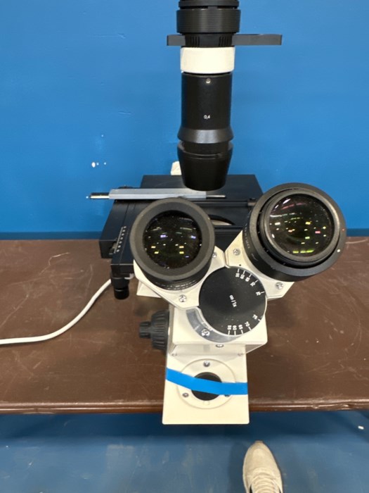 Carl Zeiss Axiovert 40 CFL Microscope for sale