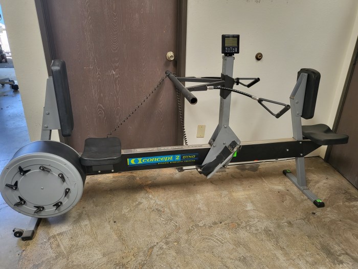 Concept 2 dyno online strength trainer