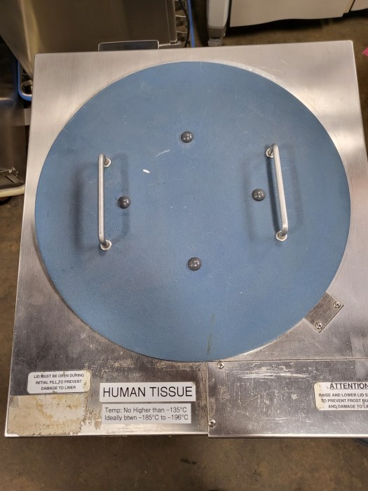 Cryolife Cryogenic Freezer for sale