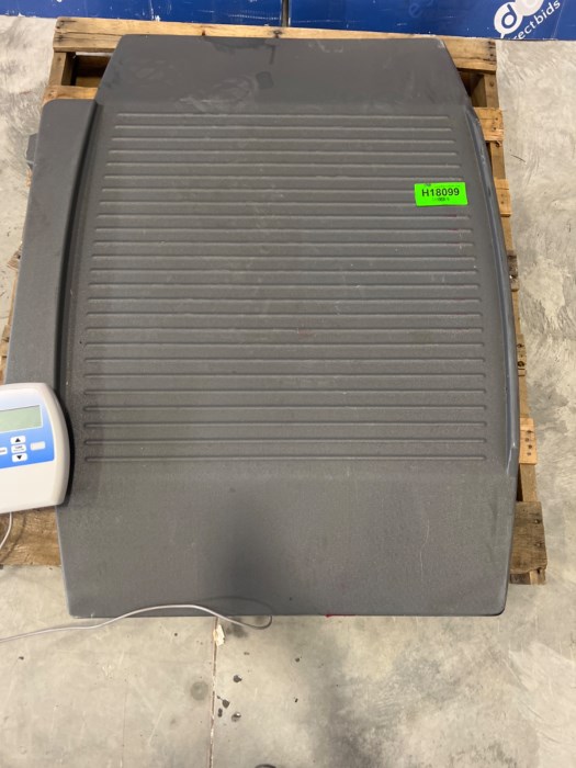 Doran Scales Model DS8080 Wheel Chair Scale for sale