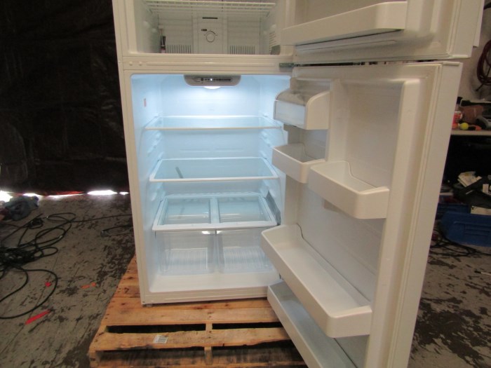 Fisherbrand Value Combo Refrigerator/Freezer Model GTFBV18CPSA for sale