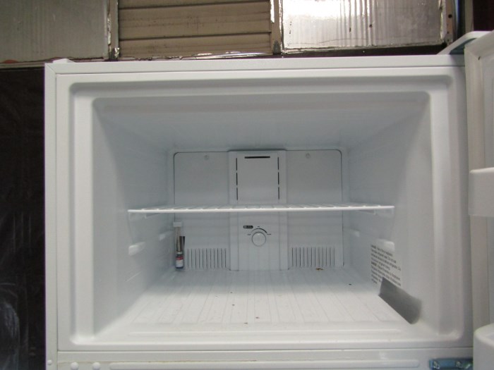 Fisherbrand Value Combo Refrigerator/Freezer Model GTFBV18CPSA for sale