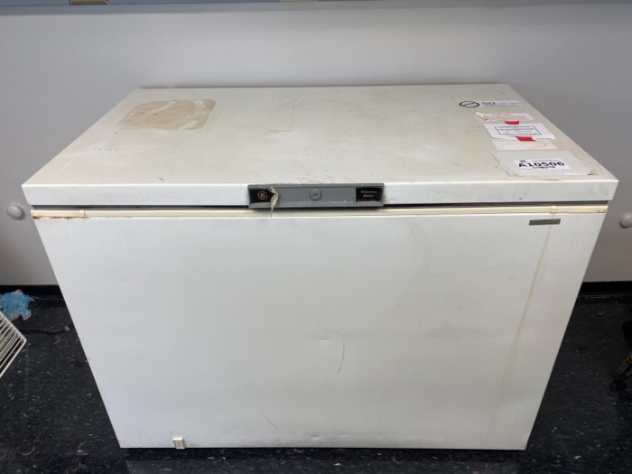 GE Deep Freezer (B33.024) for sale