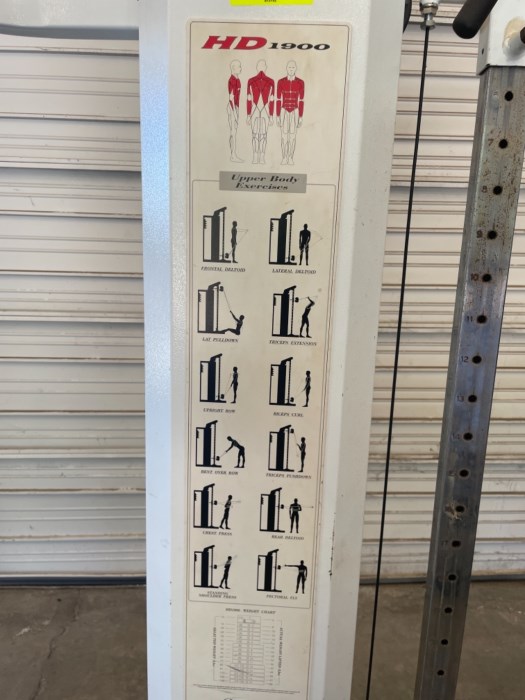 Hoist HD1900 Dual Pulley Trainer for sale