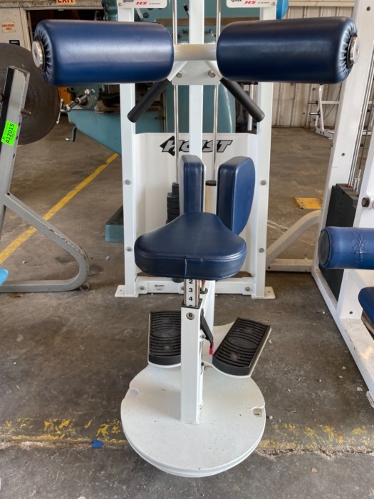 Hoist HS 1350 Rotary Torso for sale