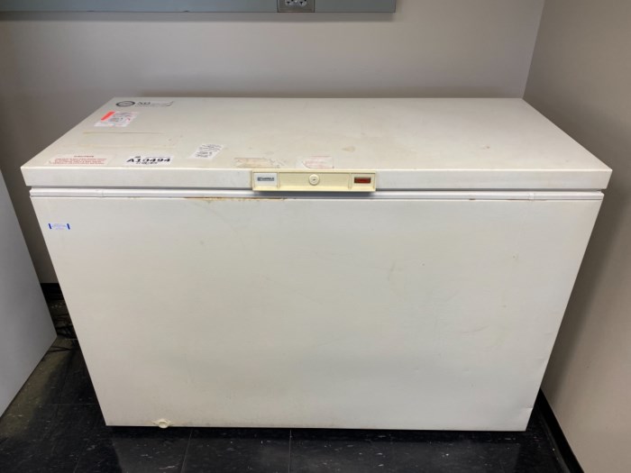 Kenmore Deep Freezer BAHIA HAHA