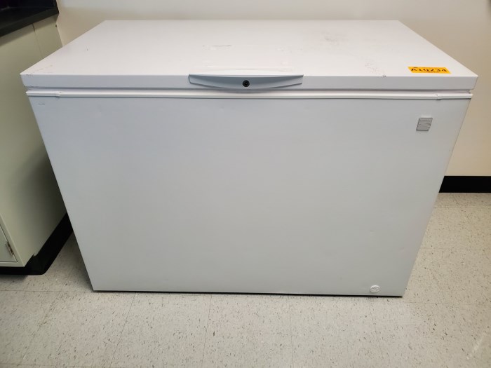 Kenmore Heavy Duty Chest Freezer (B2.3.333) for sale
