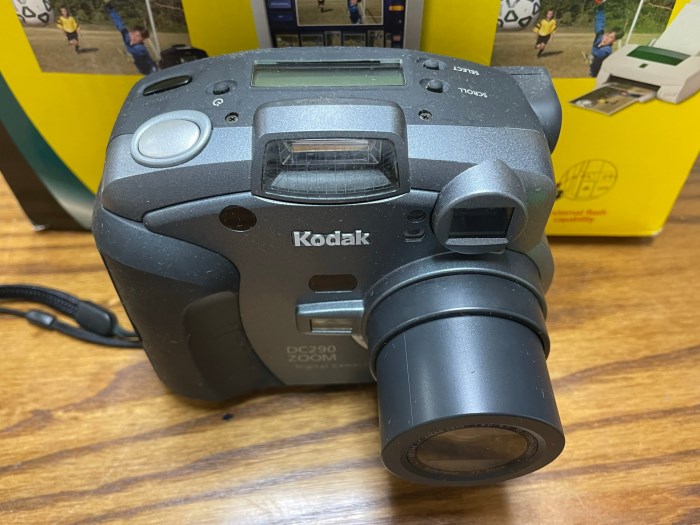 Kodak DC290 Zoom Digital Camera for sale