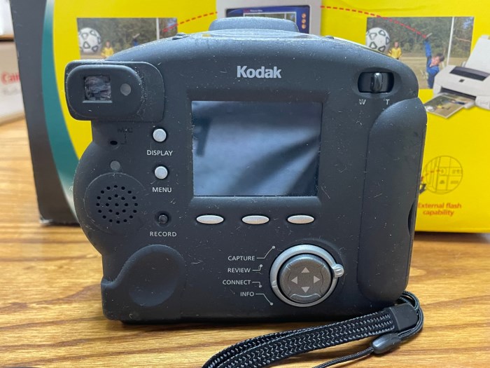Kodak DC290 Zoom Digital Camera for sale