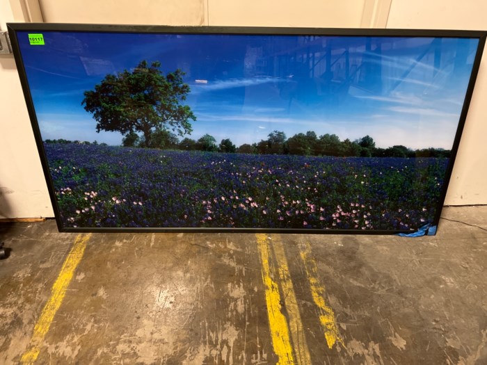 Large framed landscape photo for sale