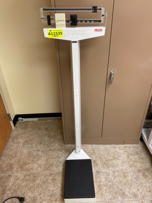 Lot of (2) Patient Scales for sale