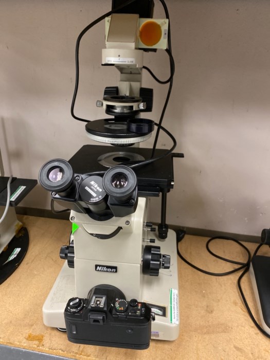 Lot of (3) Nikon Microscopes for sale