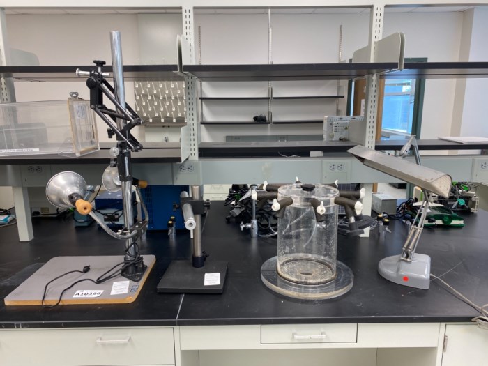 Lot of (4) Laboratory Devices (B22.317) for sale