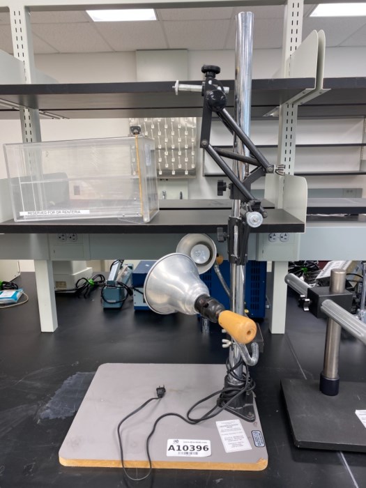 Lot of (4) Laboratory Devices (B22.317) for sale