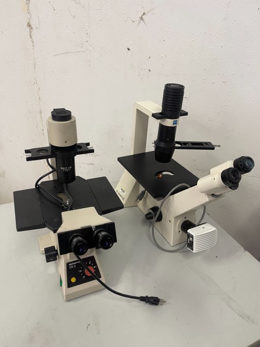Microscope Zeiss Axiovert 25 Olympus CK2 (lot of two) for sale
