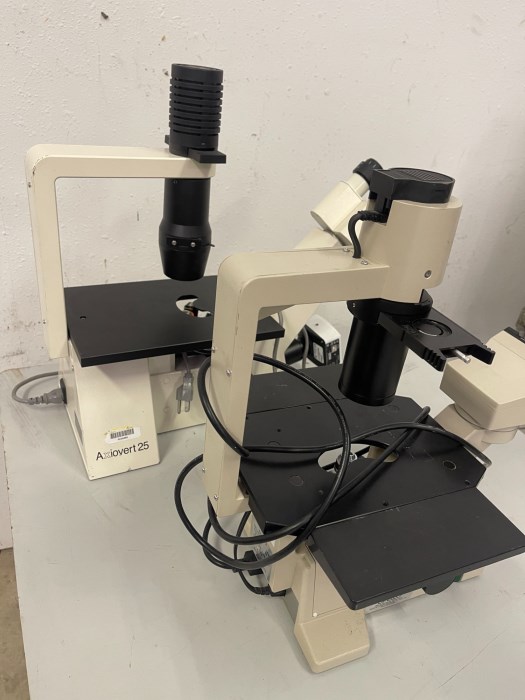 Microscope Zeiss Axiovert 25 Olympus CK2 (lot of two) for sale