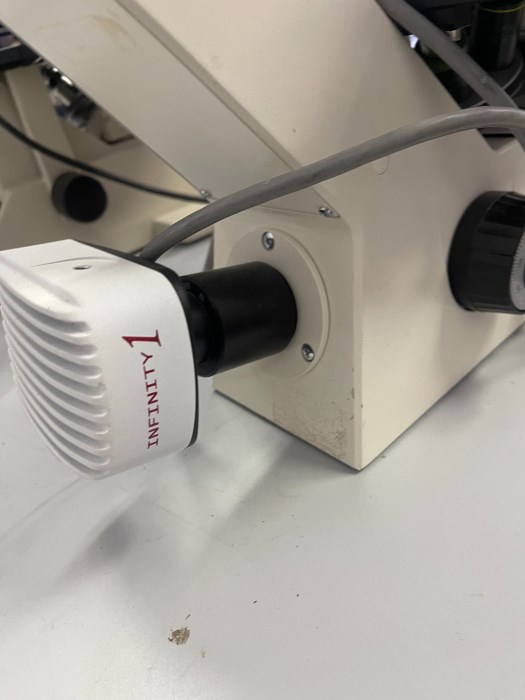 Microscope Zeiss Axiovert 25 Olympus CK2 (lot of two) for sale