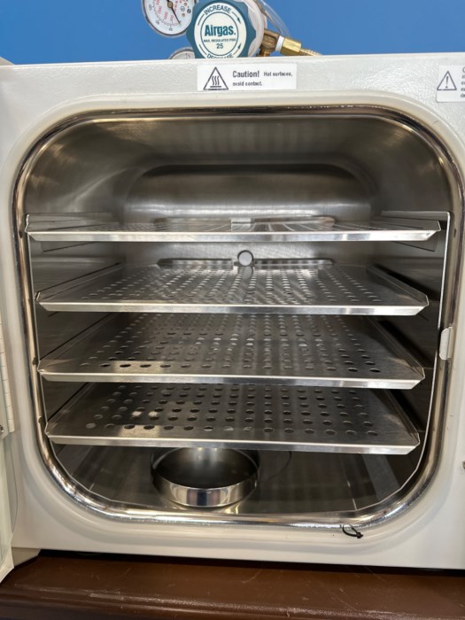 MIDI 40 CO2 Incubator Thermo Scientific for sale