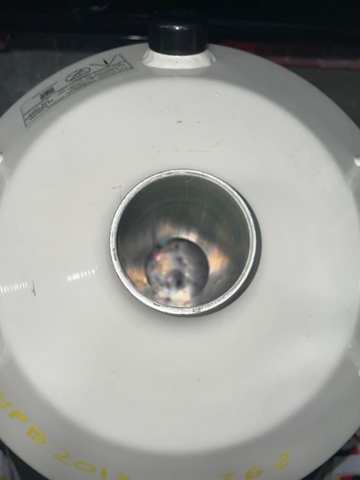 MVE Lab 20 Cryogenic Dewar (20L) w/ Metal Swinging Stand for sale