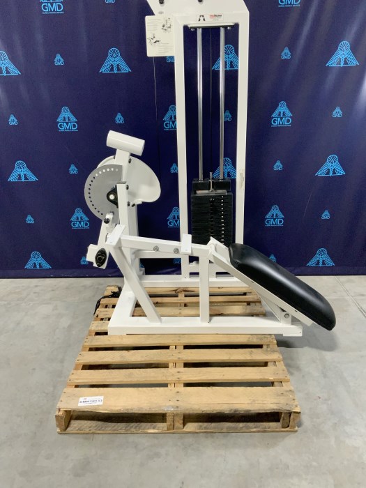 P115 Leg Extension Workout Machine w/Rom for sale