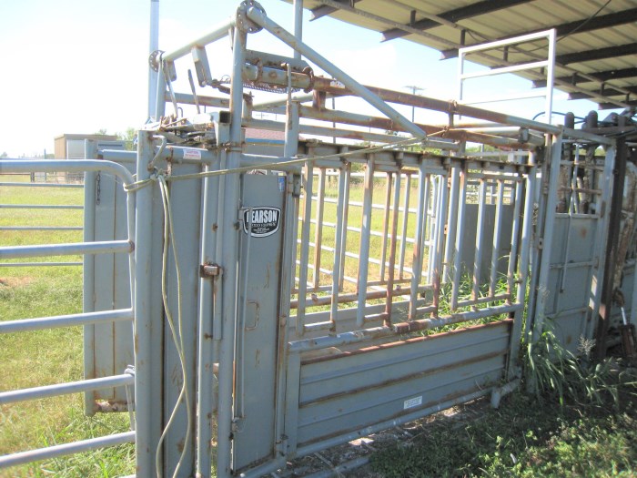 Pearson Manual Livestock Chute w/ Palpation Cage for sale