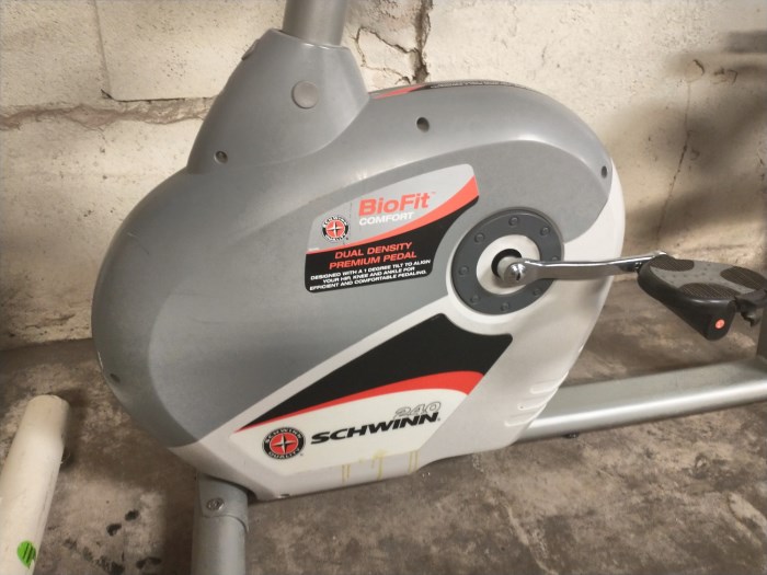 greg lemond recumbent bike