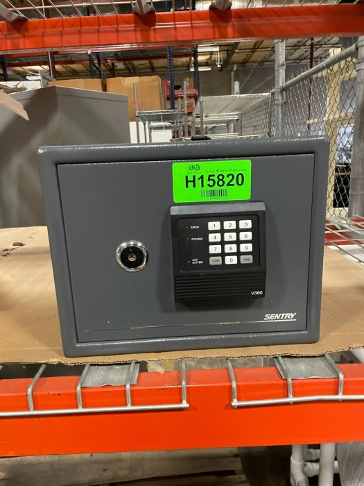 Sentry V360 Safe *Key Included* for sale