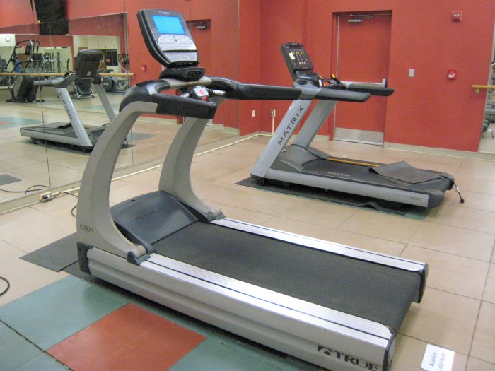 True Fitness CS800 Treadmill for sale