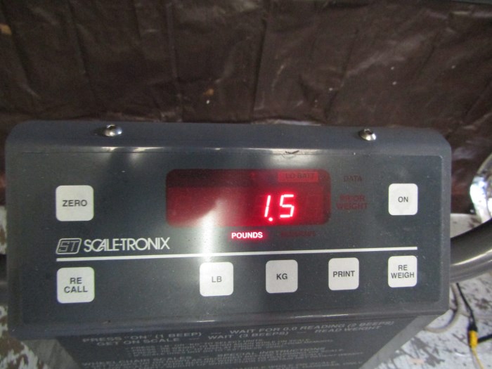 Welch Allyn ScaleTronix 5002 Mobile StandOn Scale for sale